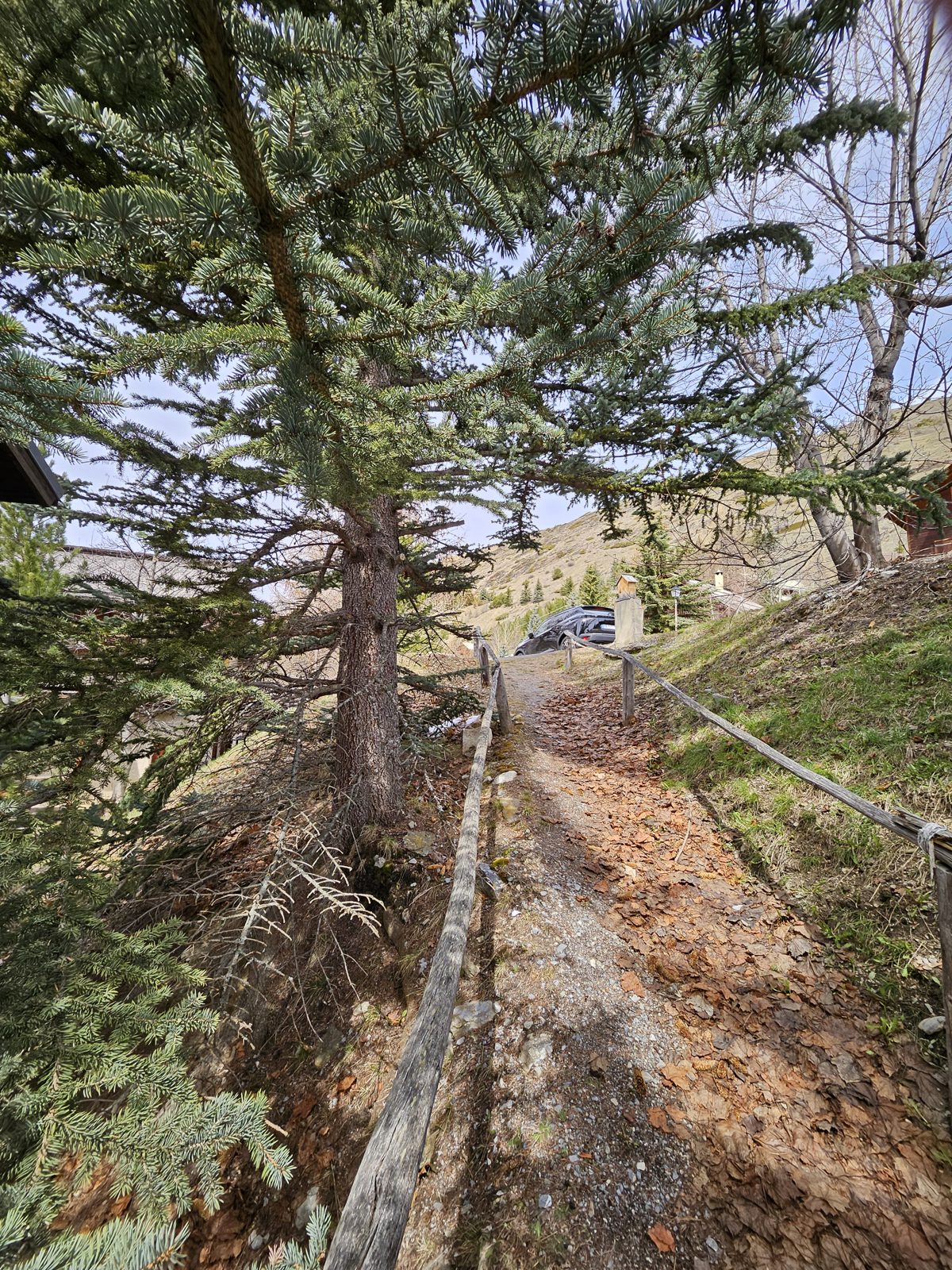 Chemin d'accès au chalet, hameau Le Coin