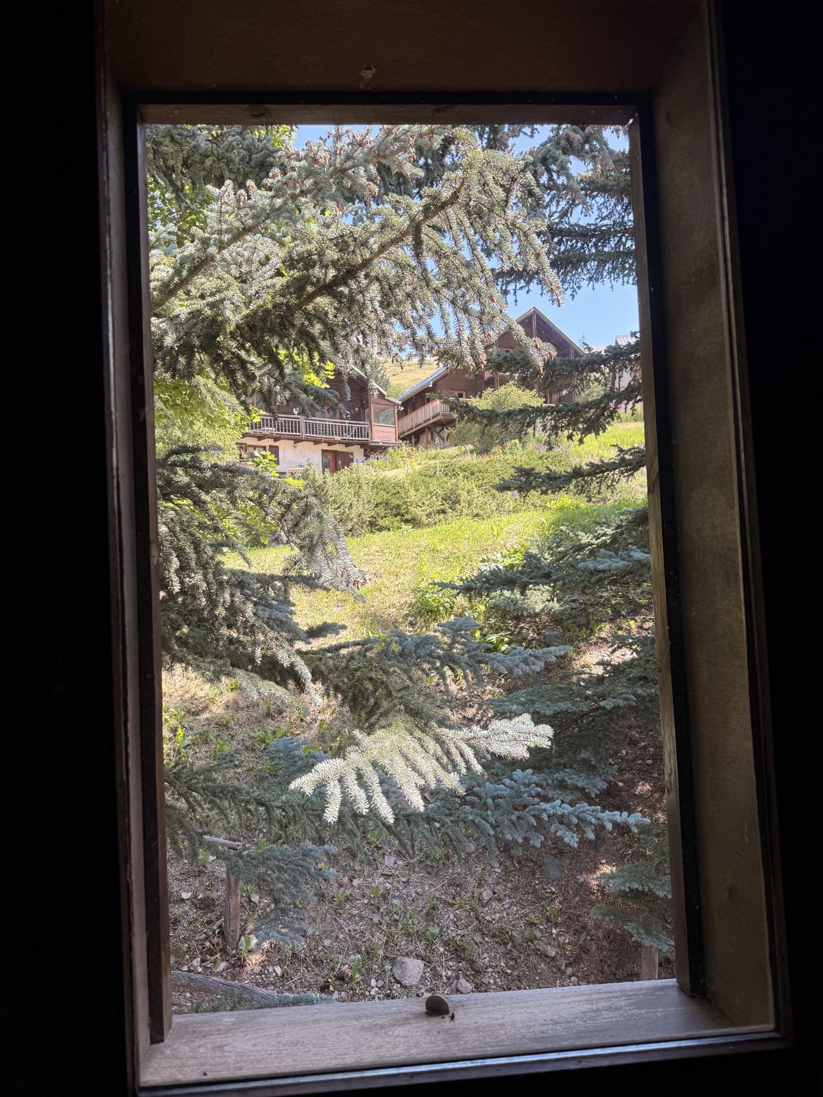 Vue sur les mélèzes depuis la chambre 3